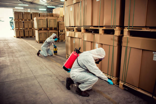 Best Termite Control Services  in Sanibel, FL
