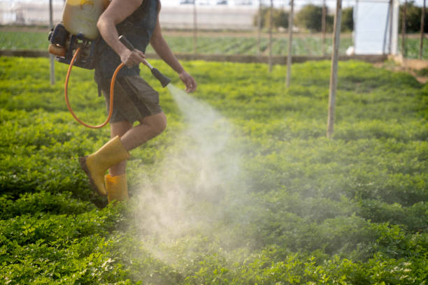 Best Best Pest Control Companies  in Sanibel, FL