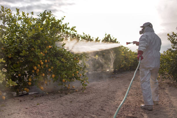 Professional Pest Control in Sanibel, FL