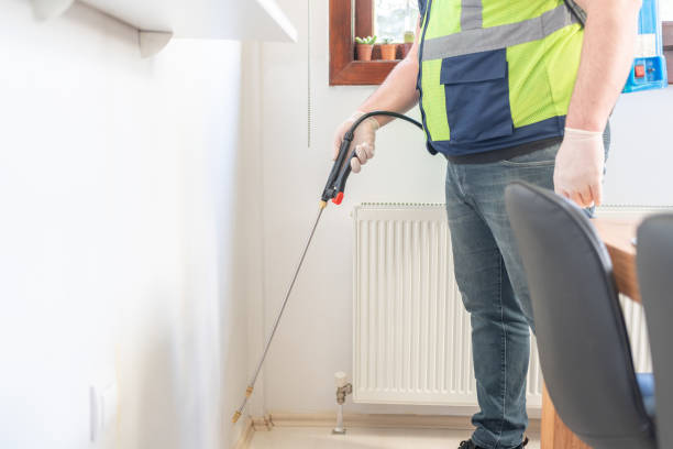 Best Termite Control Services  in Sanibel, FL