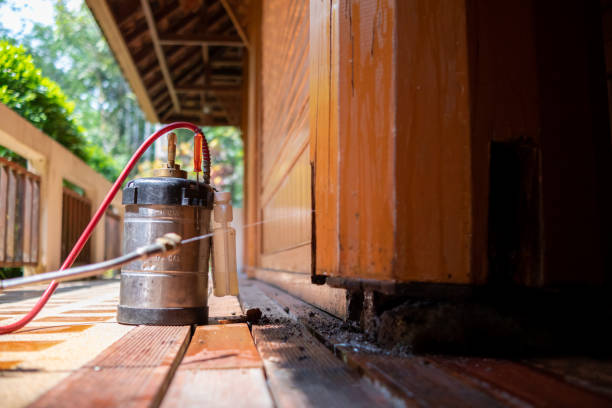 Best Pest Prevention Services  in Sanibel, FL