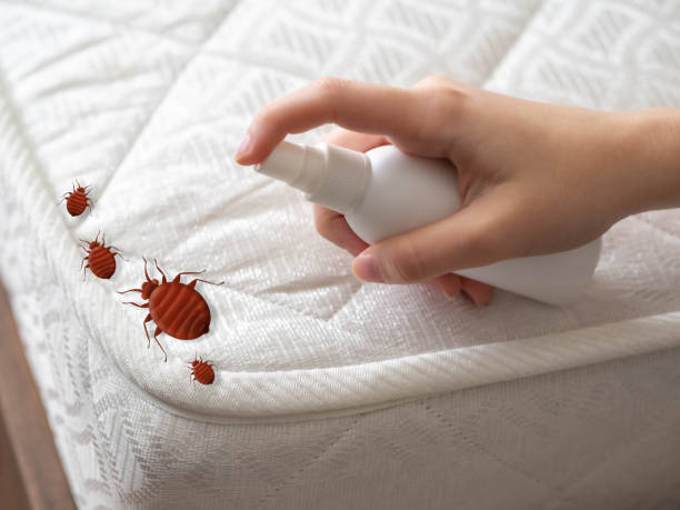 Best Insect Control  in Sanibel, FL