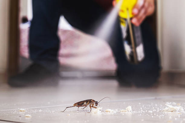 Best Affordable Pest Control Services  in Sanibel, FL